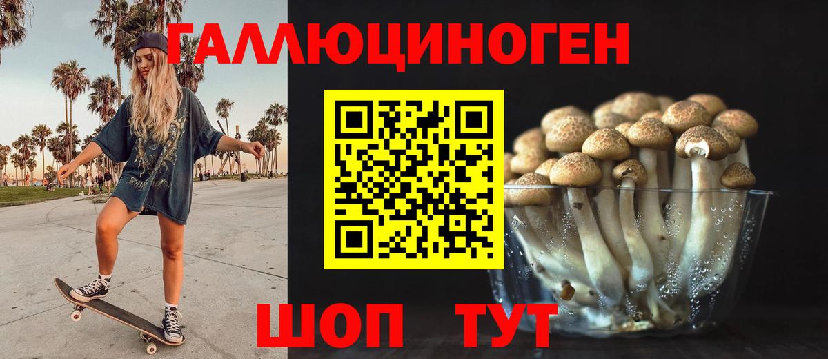 Удомля  Галлюциногенные грибы прущие грибы  Вход с VPN  Галлюциногенные грибы мицелий 